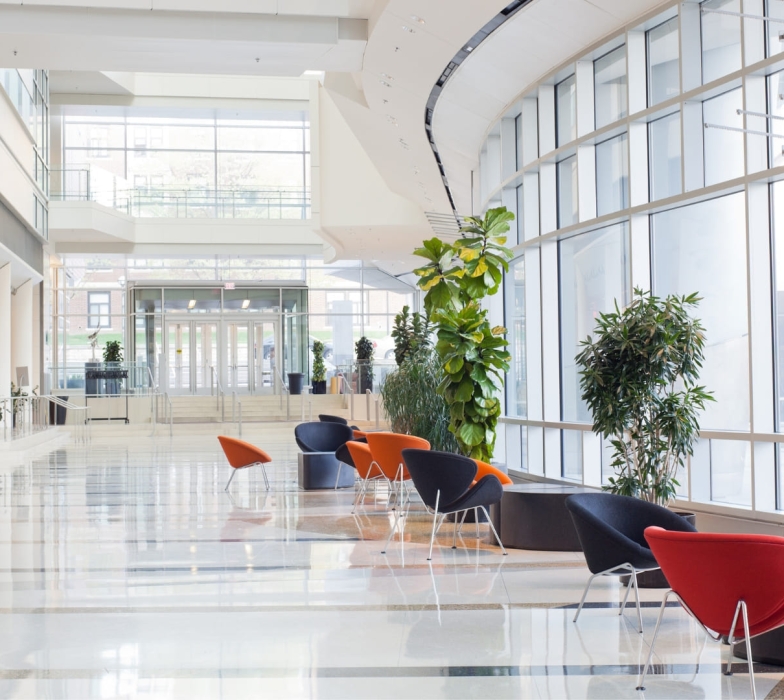 cfp-patrimonium-lobby